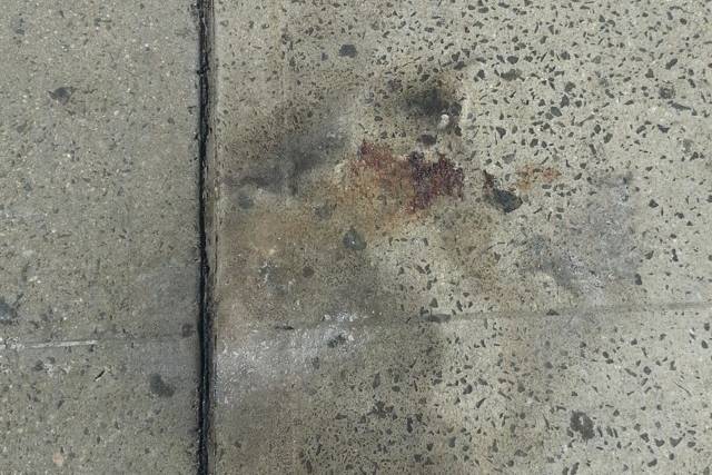 The sidewalk where the cat was burned alive